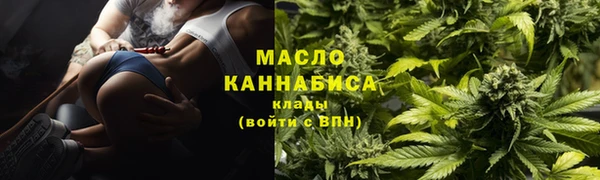 гашик Тында