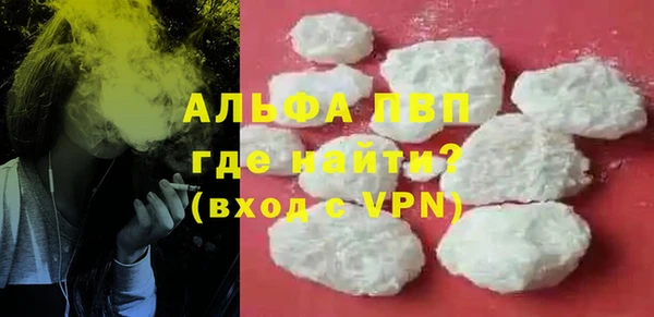 хмурый Бикин