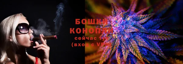 дживик Нефтекумск