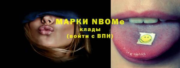хмурый Бикин