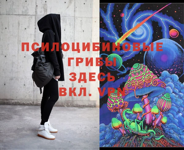дживик Нефтекумск
