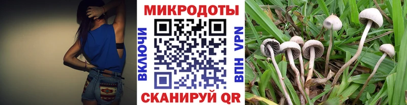 Псилоцибиновые грибы GOLDEN TEACHER  Торопец 